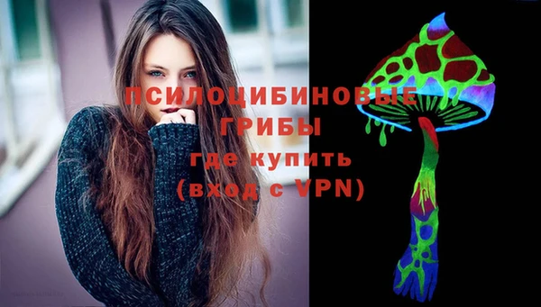 дурь Бронницы